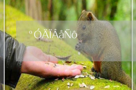 台江台江专业催债公司，专业催收